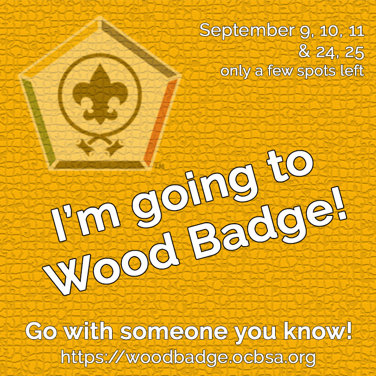 Wood Badge Participant